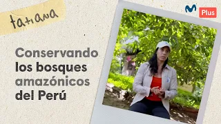 Equipo Arbio y su lucha por la conservación de los bosques peruanos | Un Perú Así