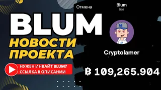 Blum новости проекта после АМА с Владимиром Смеркисом
