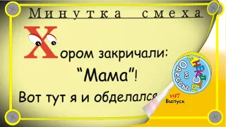 Минутка смеха Отборные одесские анекдоты Выпуск 197