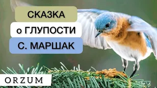 Этот гениальный стих необходимо знать каждому! Стихи со смыслом - Сказка о глупости. Самуил Маршак