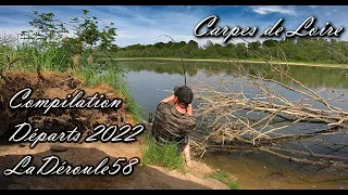 Pêche de la carpe en Loire / Compilation départs en direct 2022
