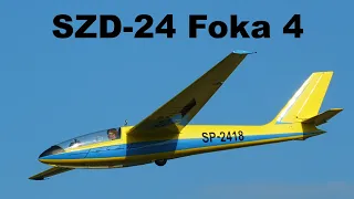 SZD-24 Foka 4 | Oldtimer weekend 2021 | 4K