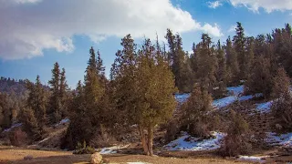 How to road trip across Ziarat Quetta | Balochistan | COMPLETE TRAVEL GUIDE |  By Nazish Malang