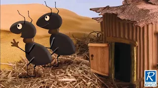 Le formiche