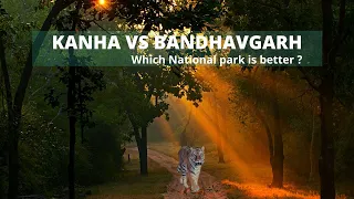 Kanha Vs Bandhavgarh which is better || Jungle Safari