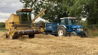 New Holland 8055 Cutting Wheat
