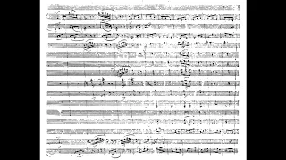 Franz Schubert - Symphony no. 8 "Unfinished" (1822) (Manuscript Score)