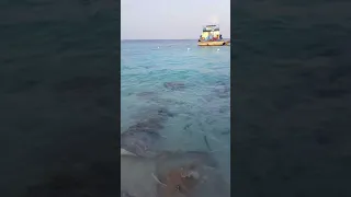 Reethi beach resort, evening entertainment. Maldives. Apr 2018