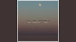 Nocturnal no. 4