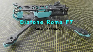 Diatone Roma F7 frame assembly