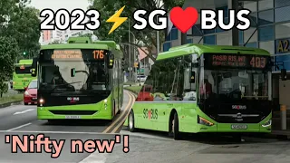 2023⚡SG♥️BUS - A Summary Of ⚡ Buses in 🇸🇬