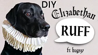 Making my dog a 16th Century Elizabethan Ruff Collar! How to make an Elizabethan/Tudor Ruff DIY 👑
