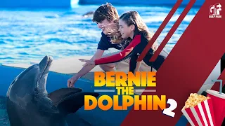 Bernie The Dolphin 2