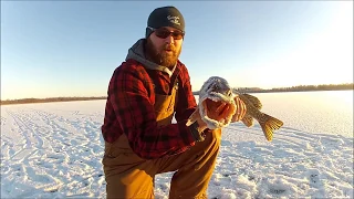 Tip up fishing in Estonia