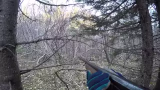 Grouse Hunting in NB part 3