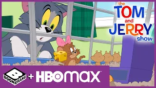 Hamster Hopla | Tom & Jerry | Boomerang Danmark