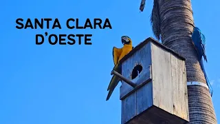 Santa Clara D'oeste SP - Passeio da Rota 408 pela cidade de Santa Clara D'oeste - 11° Temp - Ep 26