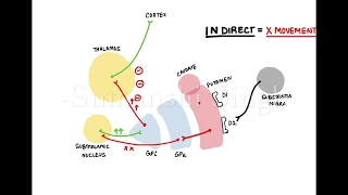 Basal Ganglia - Direct And Indirect Pathway In 5 Minutes