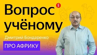 Вопрос учёному: Дмитрий Бондаренко — про Африку