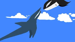 aircraft shark vs aircraft killer whale vs aircraft beluga whale