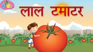 लाल टमाटर || Red tomatoes song || Nursery rhymes || Hindi rhymes ||