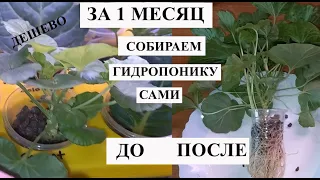 КАК СОБРАТЬ ГИДРОПОНИКУ ДОМА, ускоряем рост растений в 5 раз, дешево и эффективно