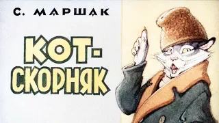 Кот скорняк