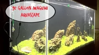 90 Gallon Iwagumi Aquascape