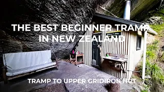 The Best Beginner Tramp In New Zealand - Tramp To Upper Gridiron Hut