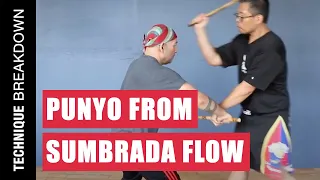 Finding PUNYO STRIKES within the SUMBRADA | Filipino Martial Arts | Kali | Escrima | Arnis