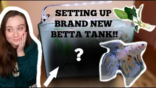 SETTING UP A BRAND NEW BETTA FISH TANK!!! | Top Fin Retreat 5 Gallon | ItsAnnaLouise