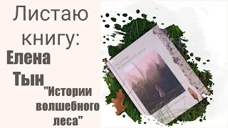 Листаю книгу: Елена Тын "Истории волшебного леса"