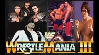 WWE 2K24 WrestleMania 3 Danny Davis & Hart Foundation Vs Tito Santana & British Bulldogs
