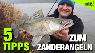 5 Tipps zum Zanderangeln mit Gummifisch für Einsteiger | Spinnfischen mit Gummi | Anglerboard TV