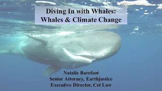 Natalie Barefoot - Earth Justice - How Whales and Their Poop Fight Climate Change