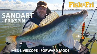 PRIKSPIN EFTER SANDART - MED LIVESCOPE I FORWARD MODE [ENG SUBS]