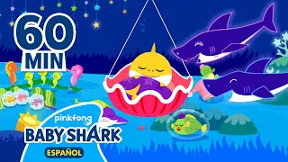Canciones de cuna 🌙 | Feliz Mes de Tiburón🎉| Tiburón Bebé | + Recopilación | Baby Shark en español