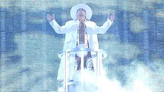 Shawn Michaels’ WrestleMania 25 entrance