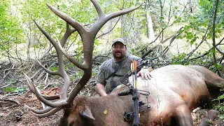 Fired Up - Hunting a Monster OTC Idaho Bull Elk in a Forest Fire