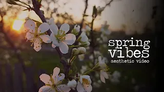 spring vibes | aesthetic video