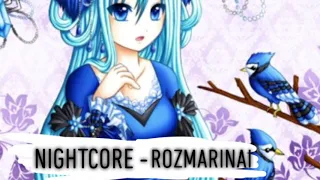 Nightcore - Rozmarinai (Vyšnios) 🎵