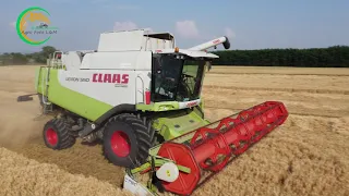 Claas Lexion 550/560 //// PD Dolný Lopašov // Žatva Jačmeň 2021