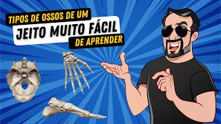 Tipos de OSSOS de um jeito FÁCIL de aprender