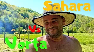 Din Deșertul Sahara direct în Paradisul Verde de la Vorța