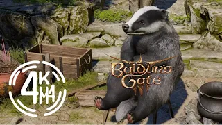 Baldur's Gate 3 - ПОДЗЕМЕЛЬЕ, АРХИФЕЯ КОЛДУНИХА С КЛИНКАМИ