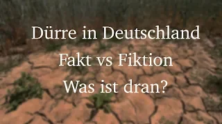 Dürre in Deutschland? Wird es immer trockener - Fakten vs. Panik