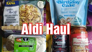 BUDGET Aldi Grocery Haul With Prices!