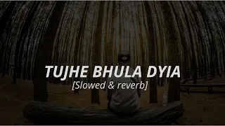 Tujhe Bhula Diya  (slowed + reverb) | Mohit Chauhan | Ranbir Kapoor, Priyanka Chopra | AFS Lofi