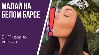 МАЛАЙ НА БЕЛОМ БАРСЕ (БИМ-радио version)