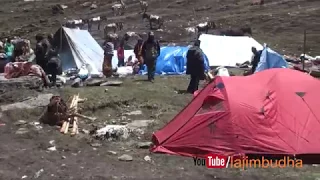 Yarsagumba seeker shelter || बुिकमा यार्सा खोजनेहरुको वासस्थान ||